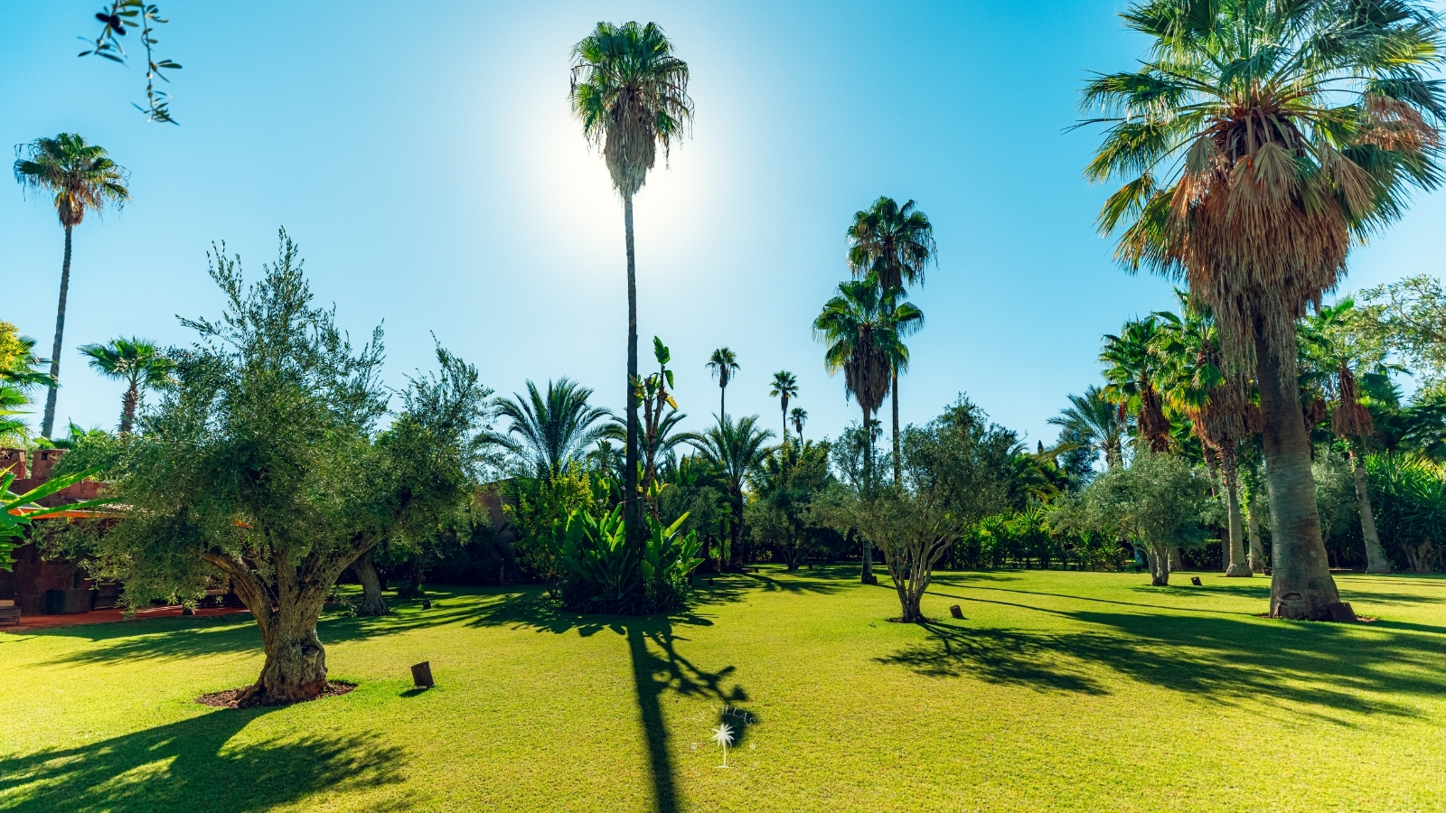 Early spring in Marrakech : a luxury villa retreat before the crowds 1 Menka 14